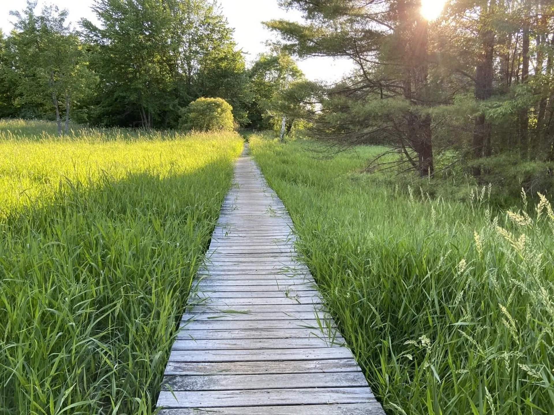 7 Countryside Drive Gilford NH 03249