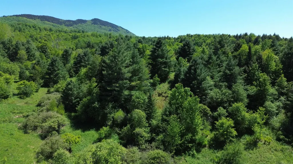 Lot 0 Darling Road Morristown VT 05661