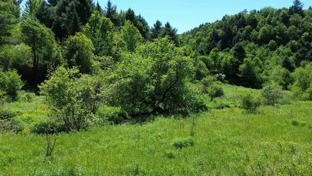 Lot 0 Darling Road Morristown VT 05661