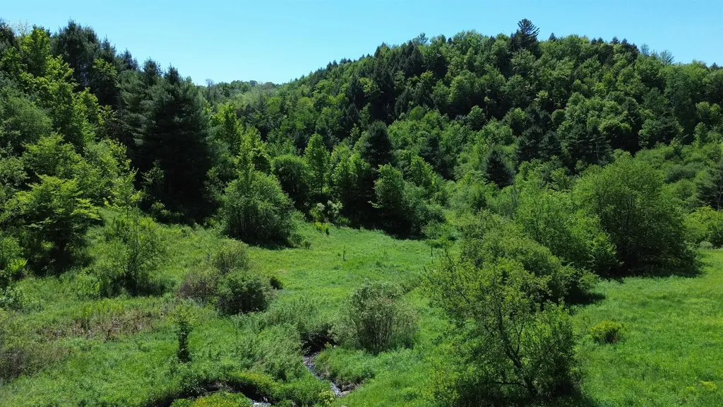 Lot 0 Darling Road Morristown VT 05661