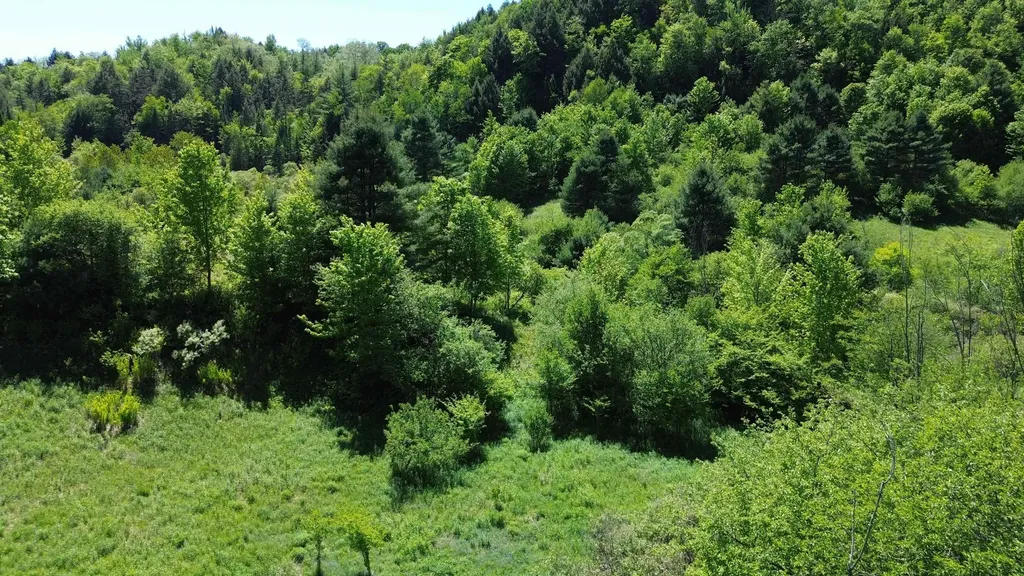 Lot 0 Darling Road Morristown VT 05661