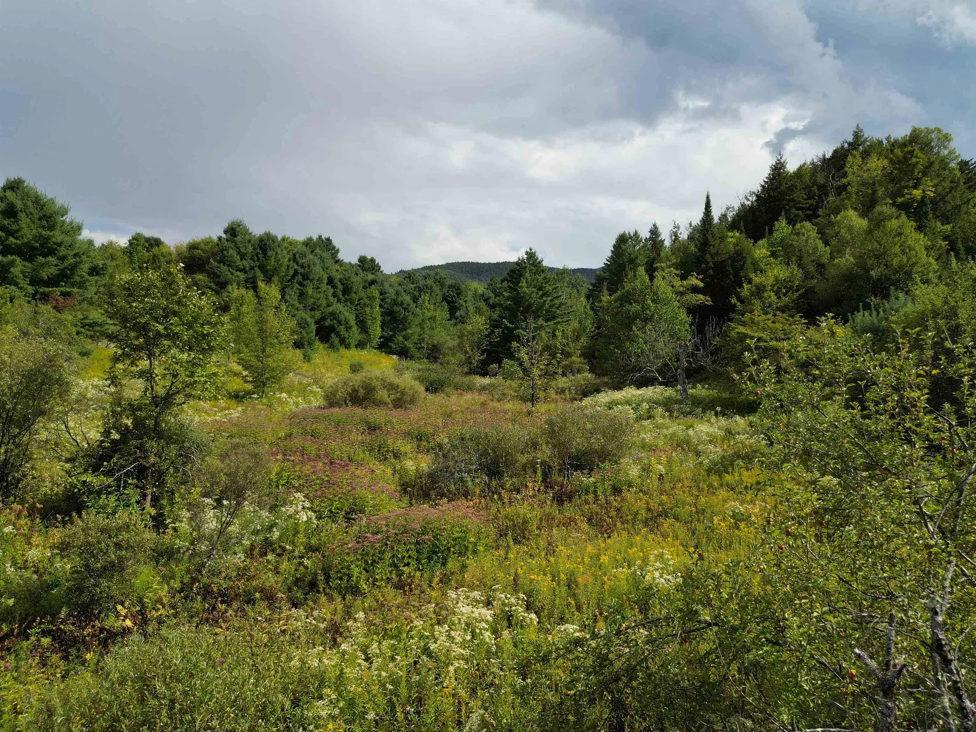 Lot 0 Darling Road Morristown VT 05661