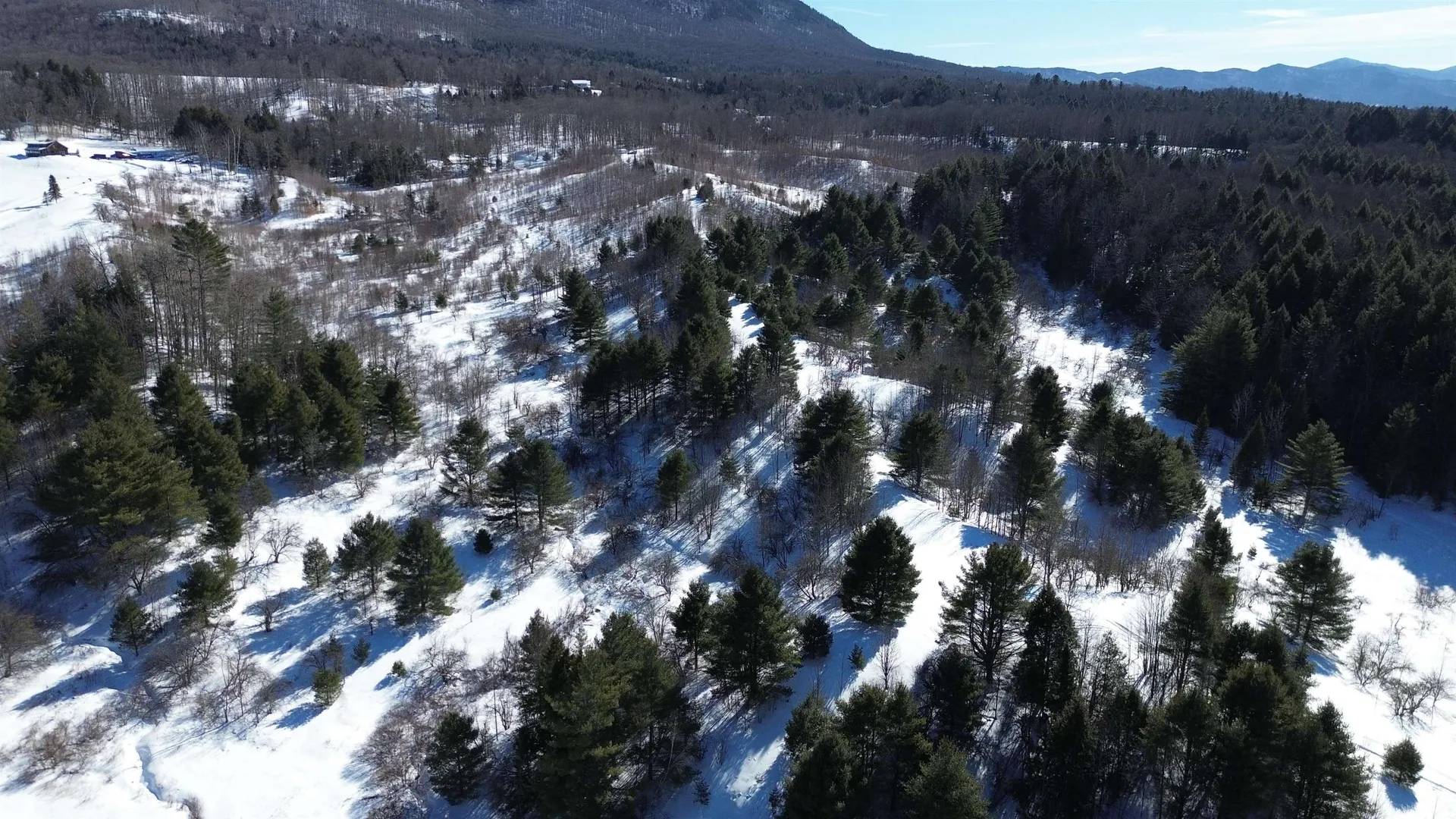 Lot 0 Darling Road Morristown VT 05661