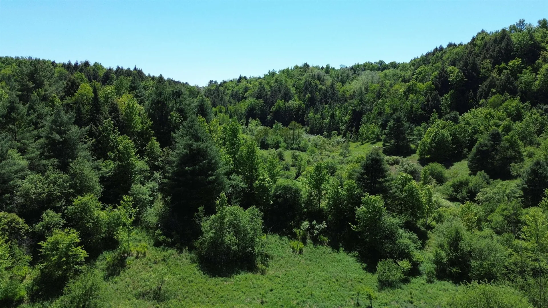 Lot 0 Darling Road Morristown VT 05661