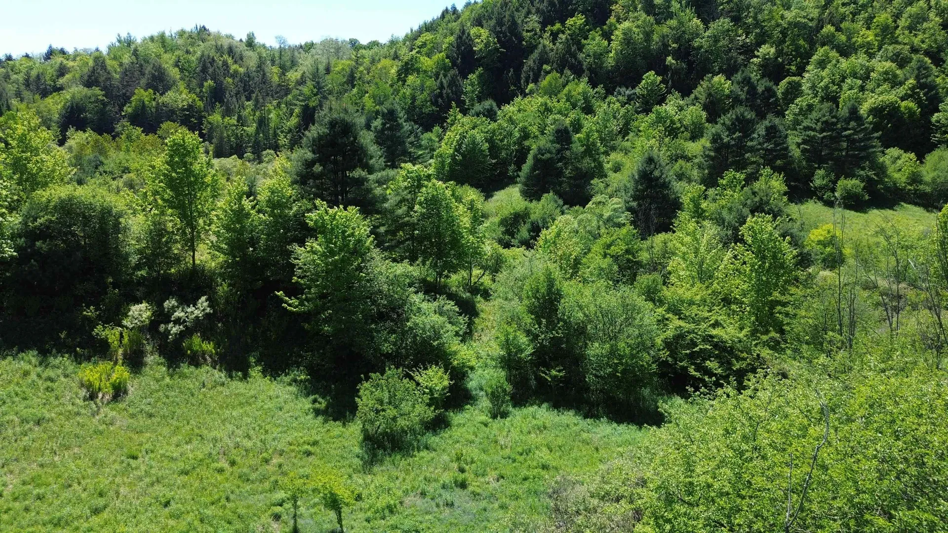 Lot 0 Darling Road Morristown VT 05661