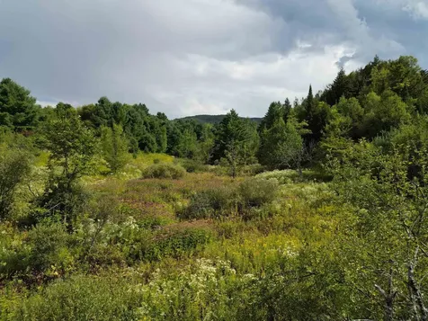Lot 0 Darling Road Morristown VT 05661