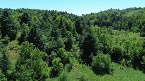 Lot 0 Darling Road Morristown VT 05661