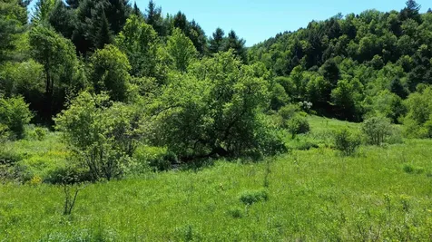 Lot 0 Darling Road Morristown VT 05661