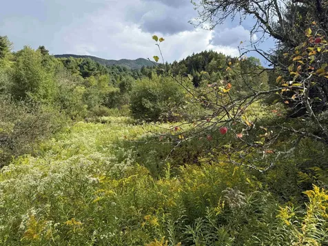 Lot 0 Darling Road Morristown VT 05661
