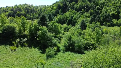 Lot 0 Darling Road Morristown VT 05661