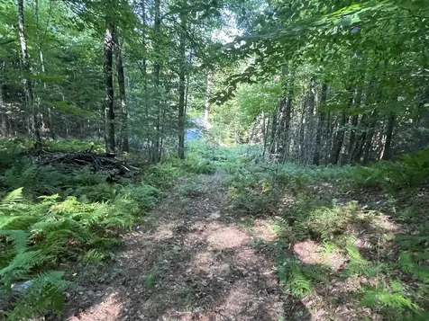 Lot 67 Williams Road Littleton NH 03561