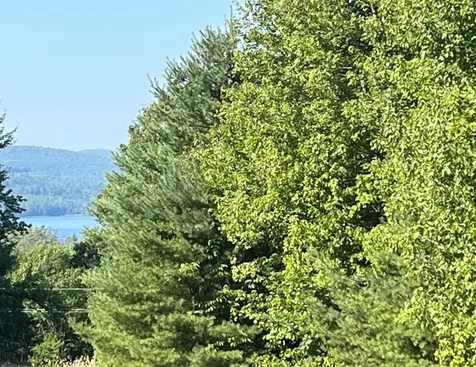 Lot 67 Williams Road Littleton NH 03561