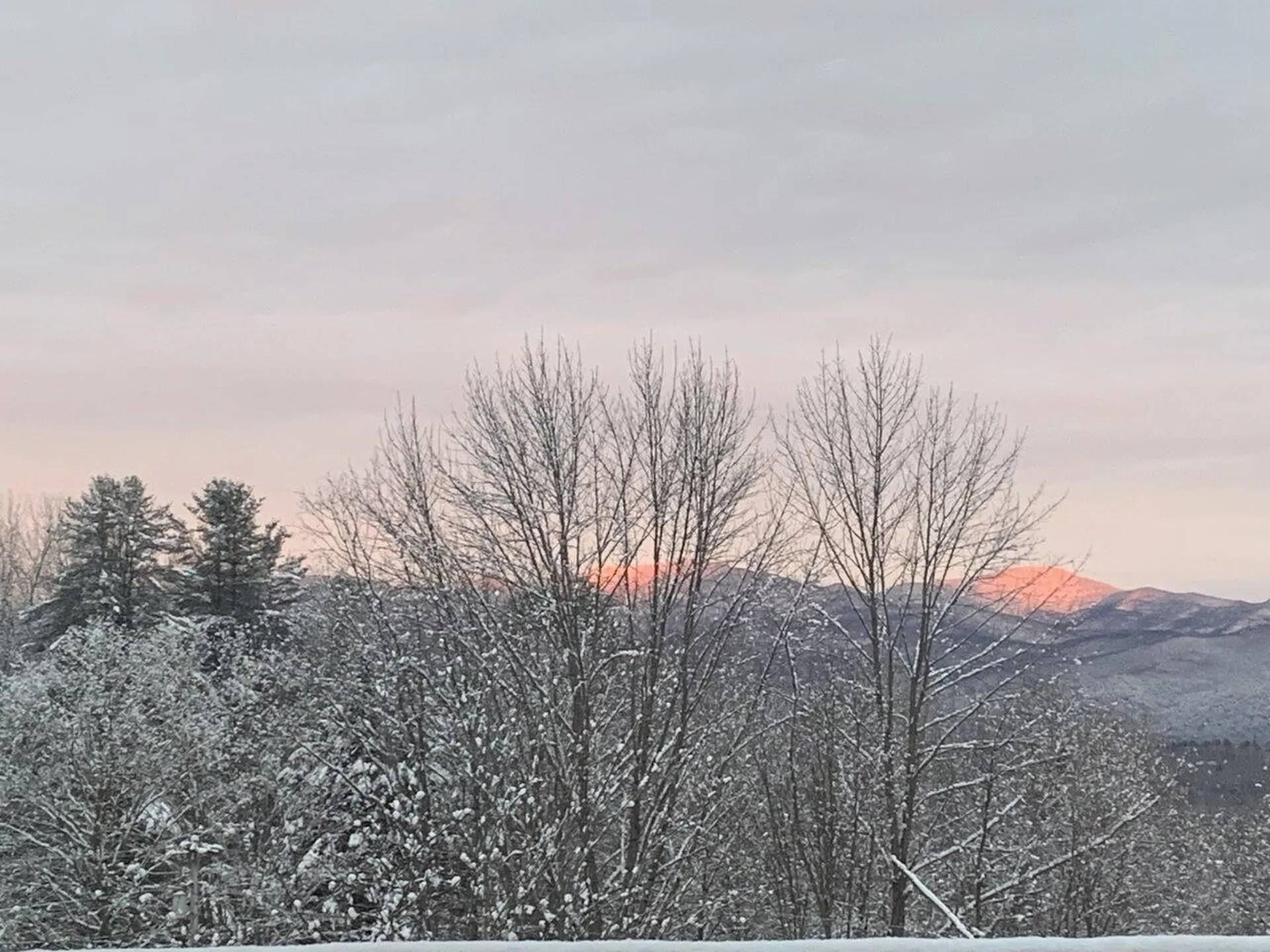 3120 Perry Hill Road Waterbury VT 05676