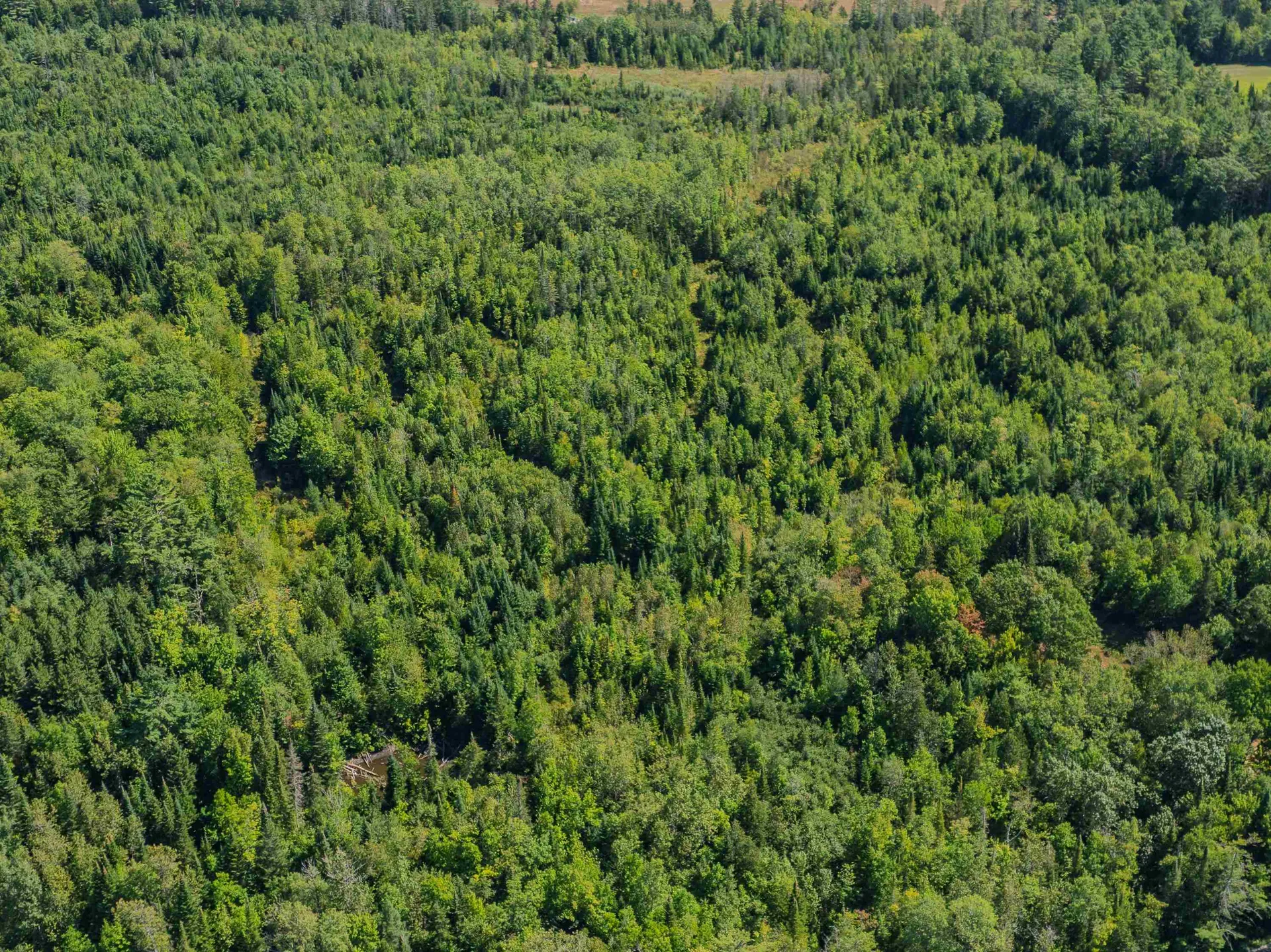 0 Old Waterford Road Littleton NH 03561