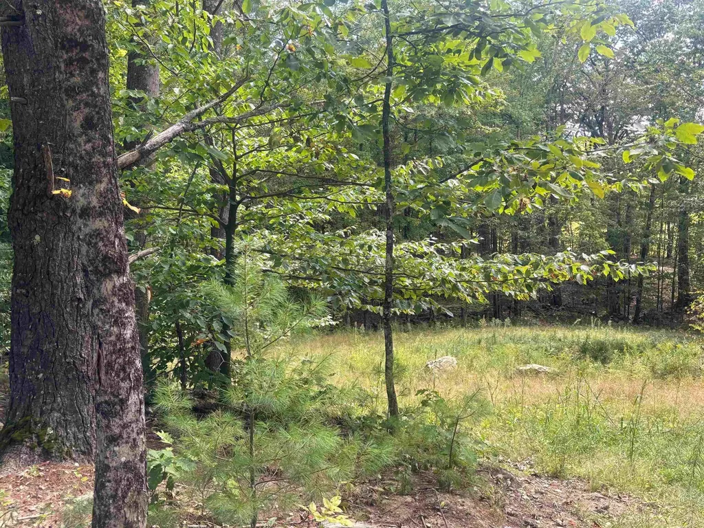 M1L52S3 Garland Road Barnstead NH 03218