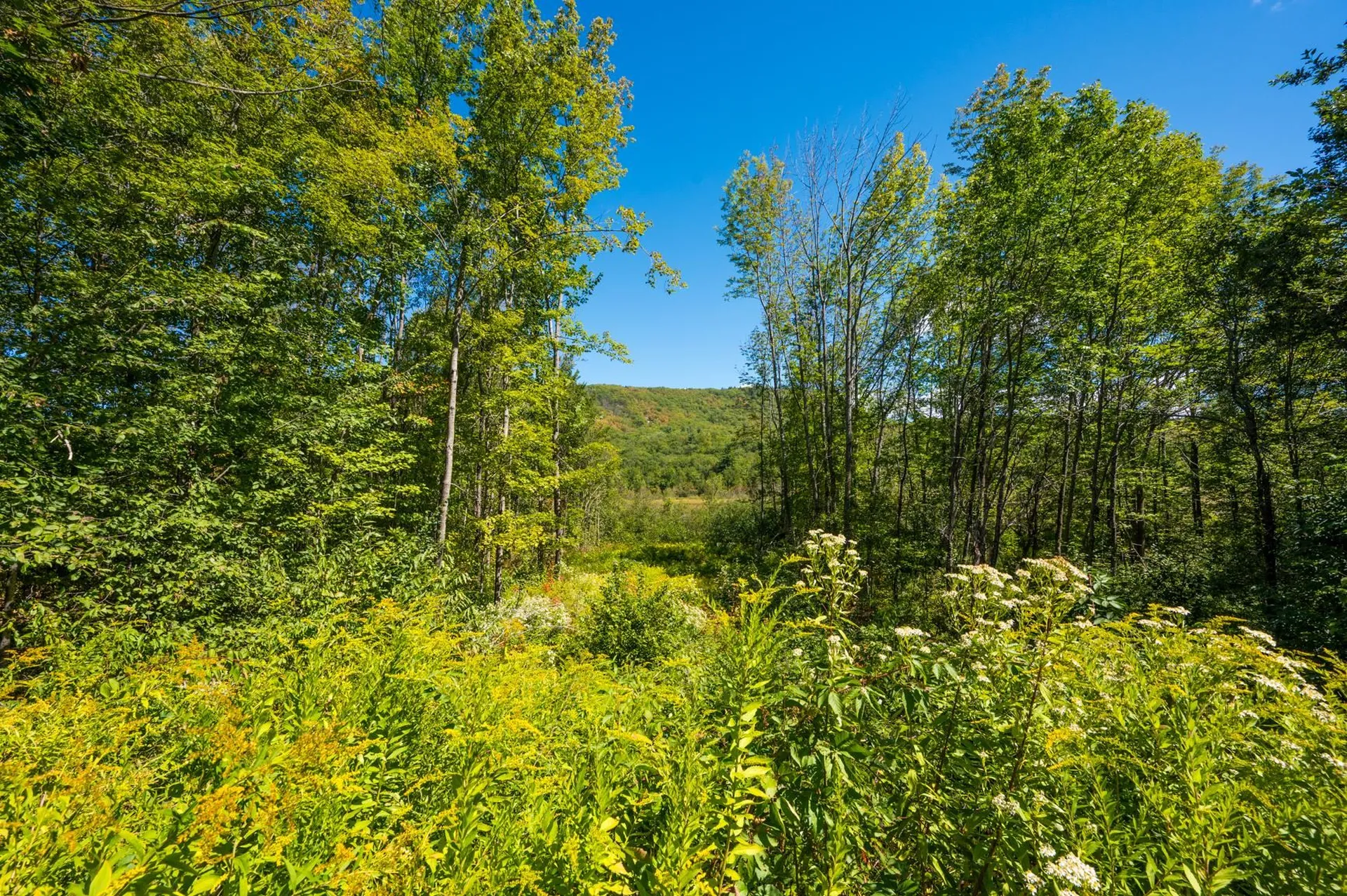 626 Nh Route 4a Wilmot NH 03287