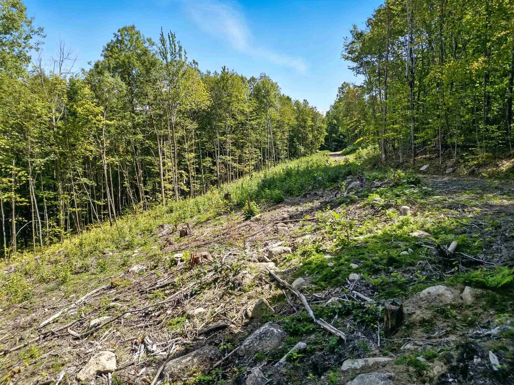 136 Newfound Hills Road Alexandria NH 03222