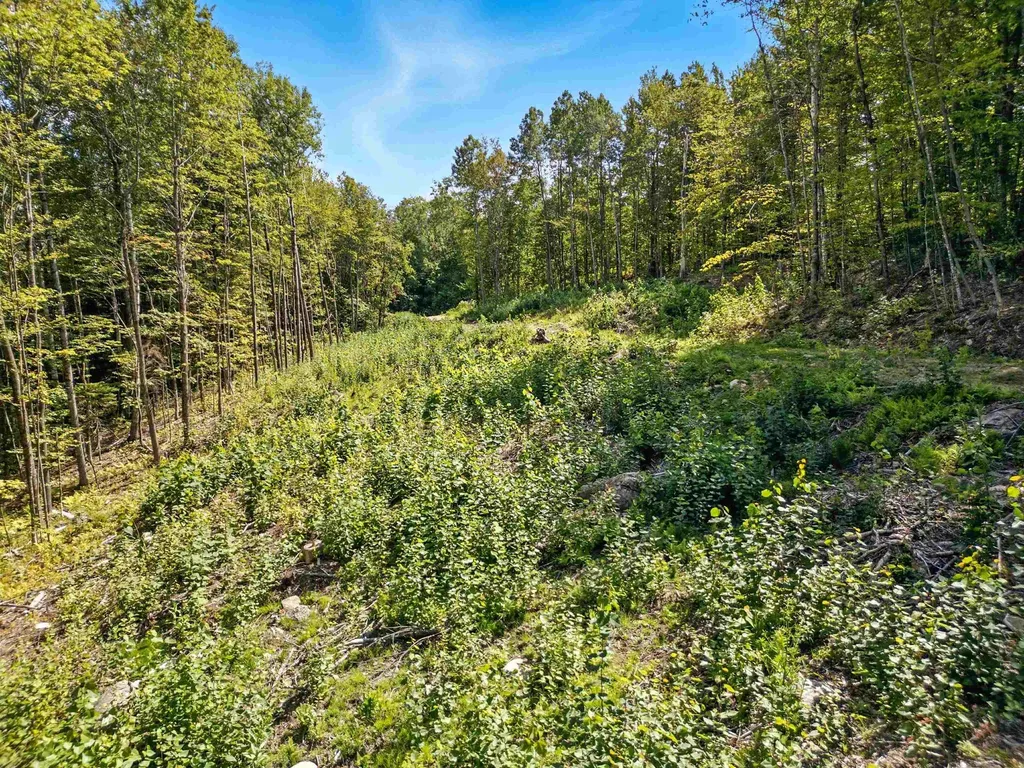 136 Newfound Hills Road Alexandria NH 03222