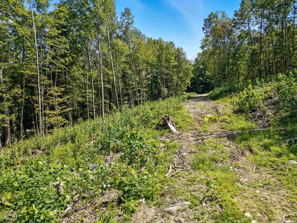 136 Newfound Hills Road Alexandria NH 03222