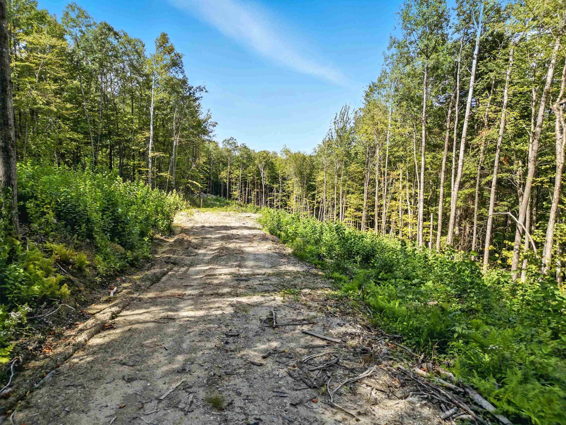 136 Newfound Hills Road Alexandria NH 03222