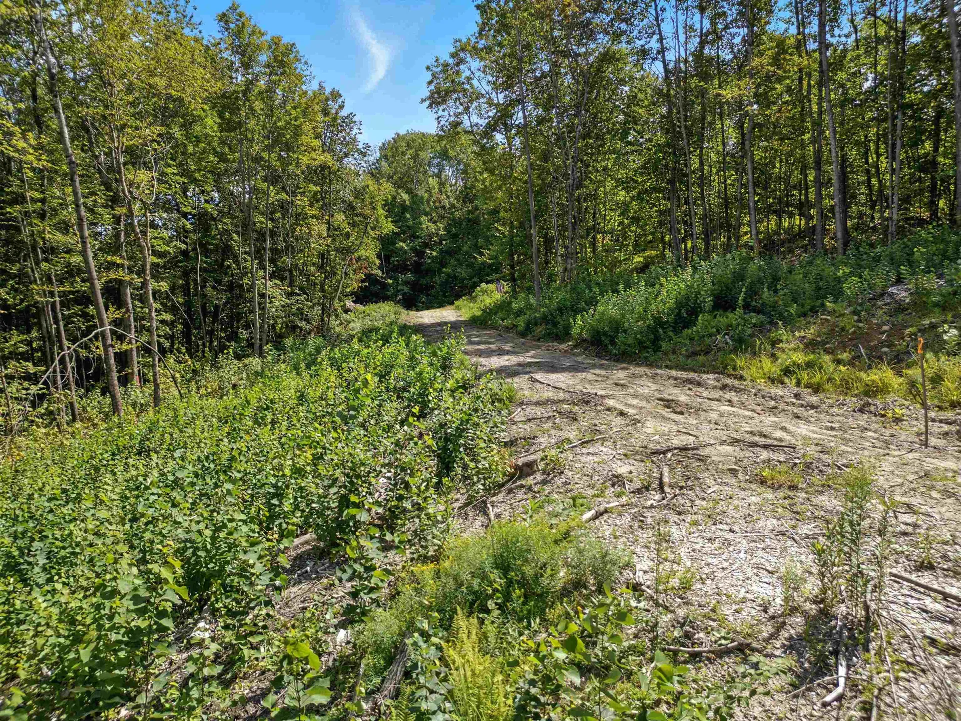 136 Newfound Hills Road Alexandria NH 03222