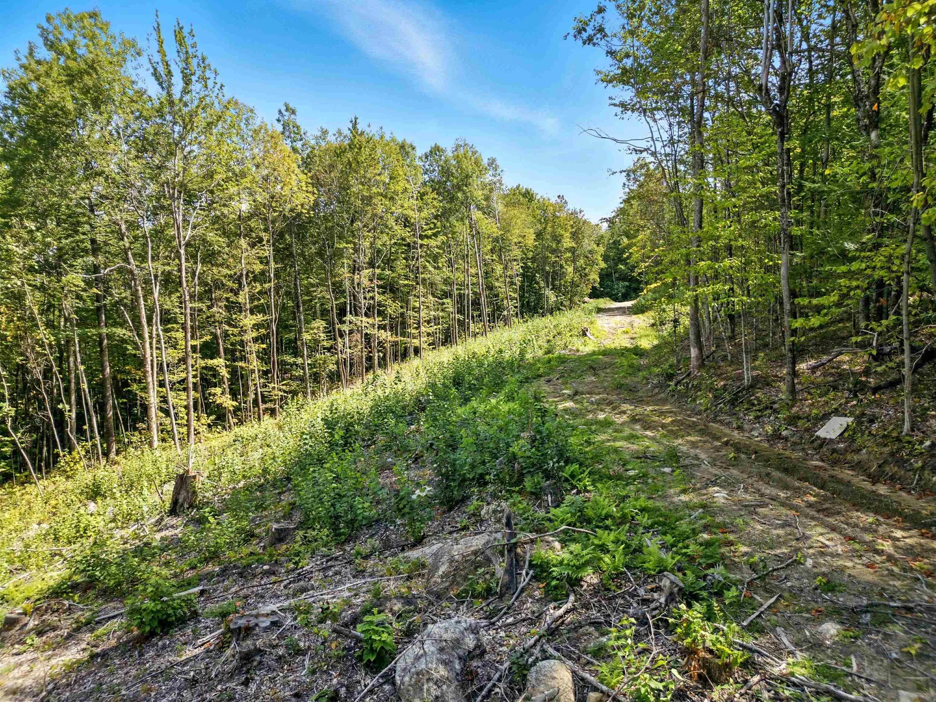 136 Newfound Hills Road Alexandria NH 03222