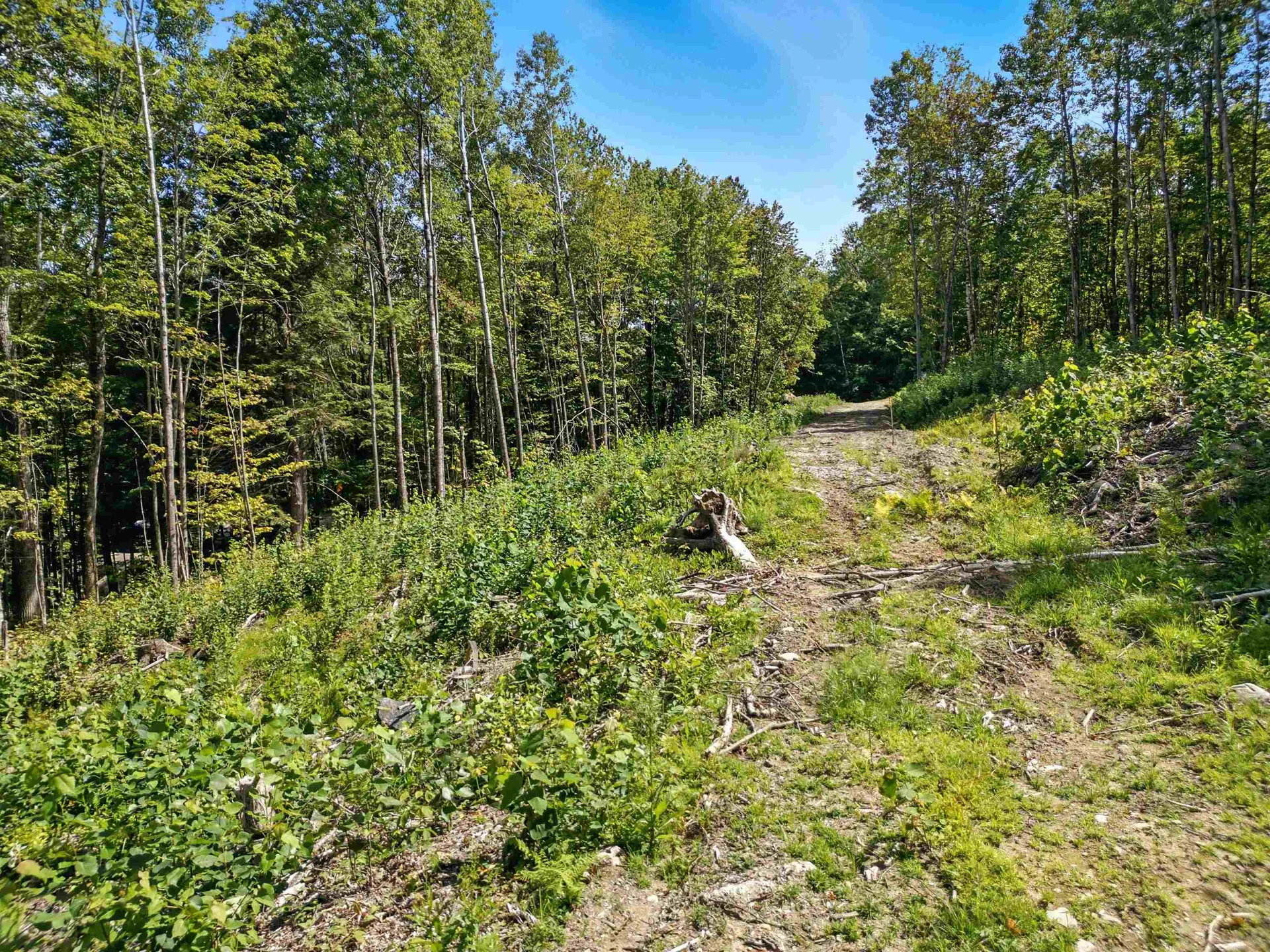 136 Newfound Hills Road Alexandria NH 03222