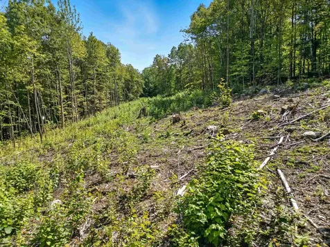 136 Newfound Hills Road Alexandria NH 03222