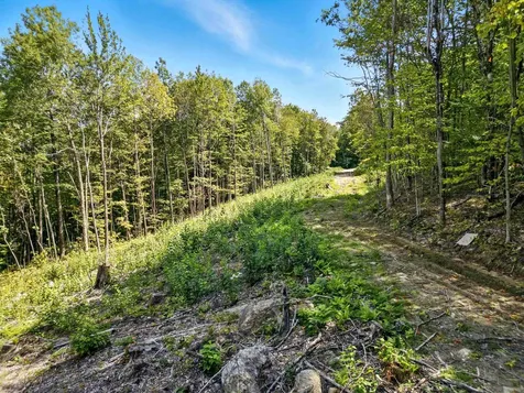 136 Newfound Hills Road Alexandria NH 03222