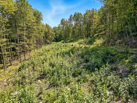 136 Newfound Hills Road Alexandria NH 03222