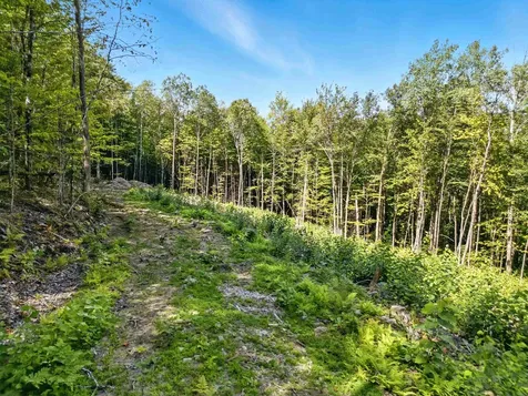 136 Newfound Hills Road Alexandria NH 03222