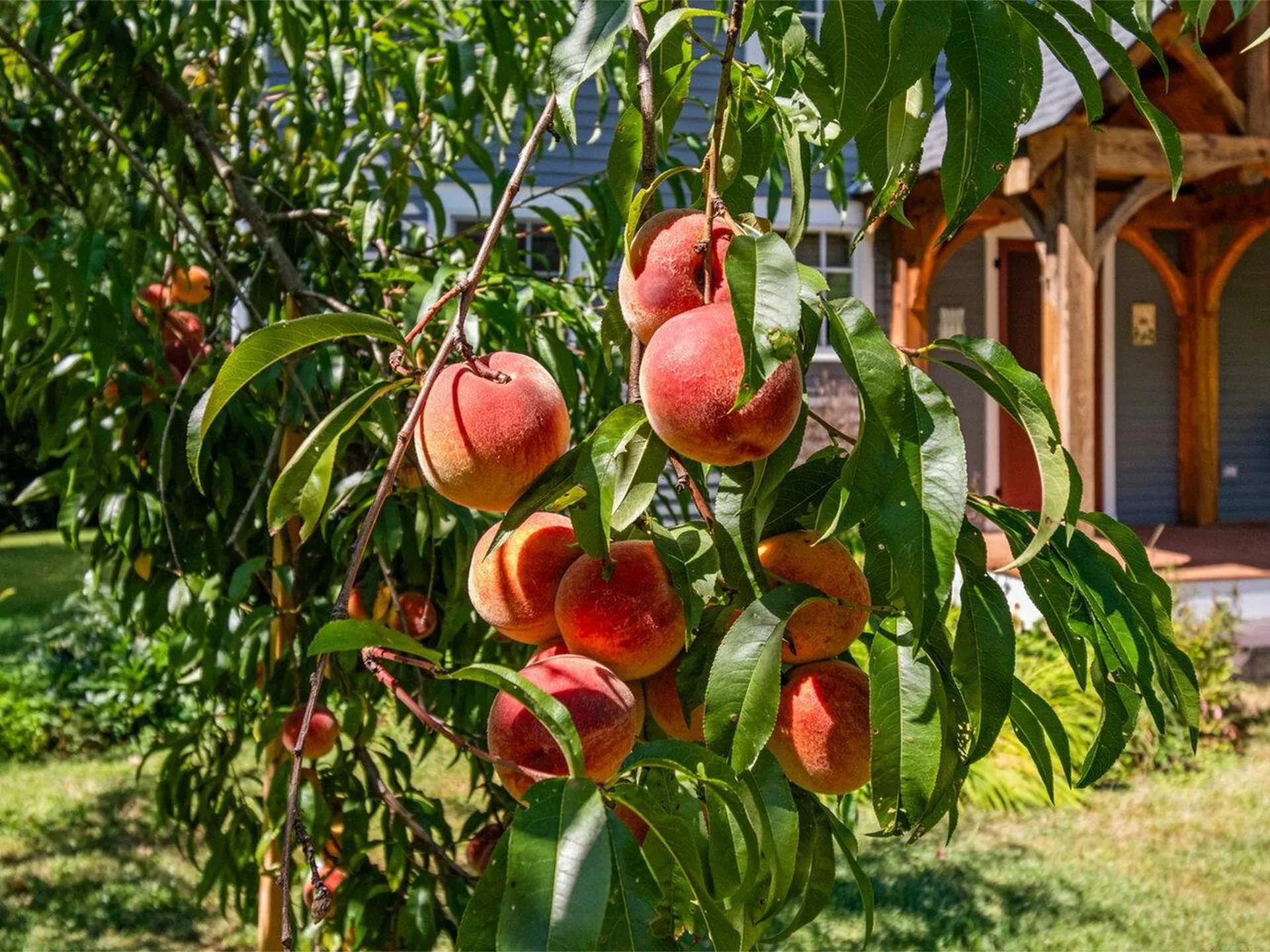 588 Round Barn Road Ferrisburgh VT 05456