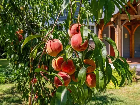 588 Round Barn Road Ferrisburgh VT 05456