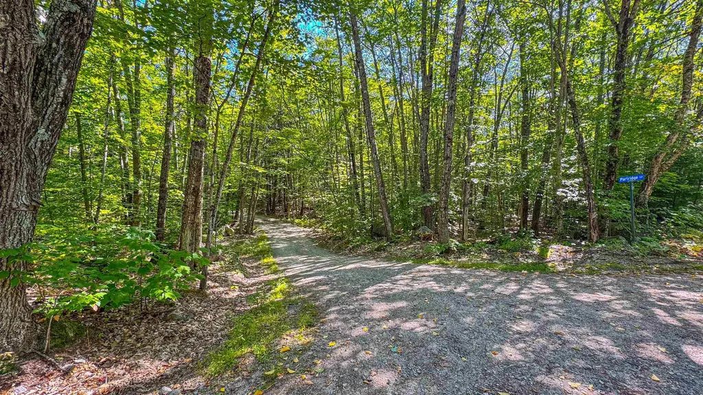 20 Partridge Lane Denmark ME 04022