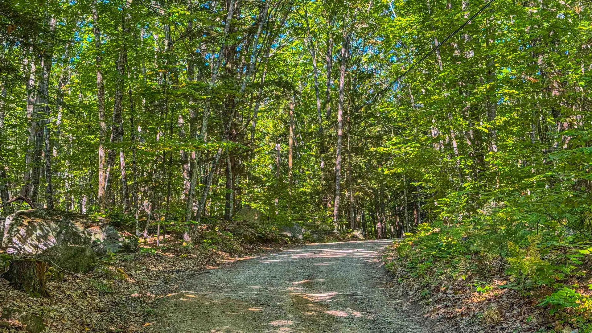 20 Partridge Lane Denmark ME 04022