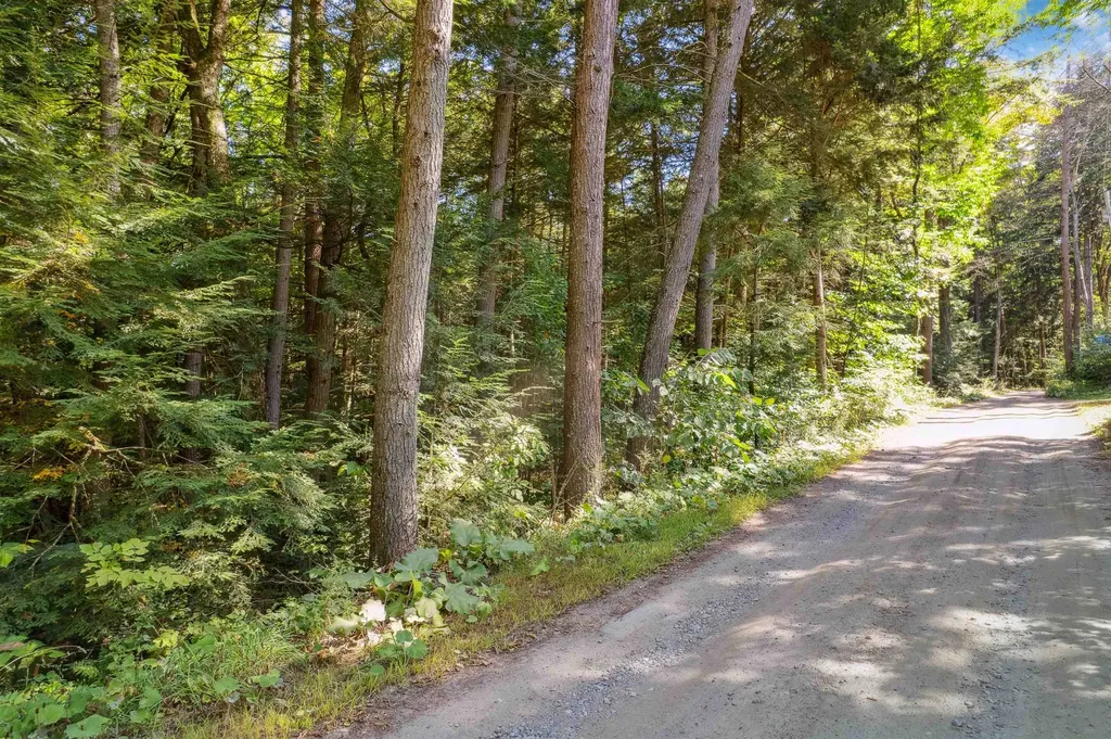 933 Gage Road Tunbridge VT 05077