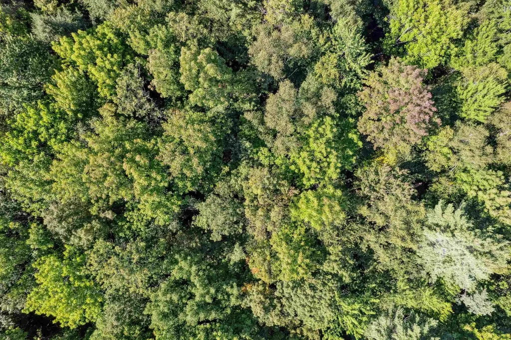 933 Gage Road Tunbridge VT 05077