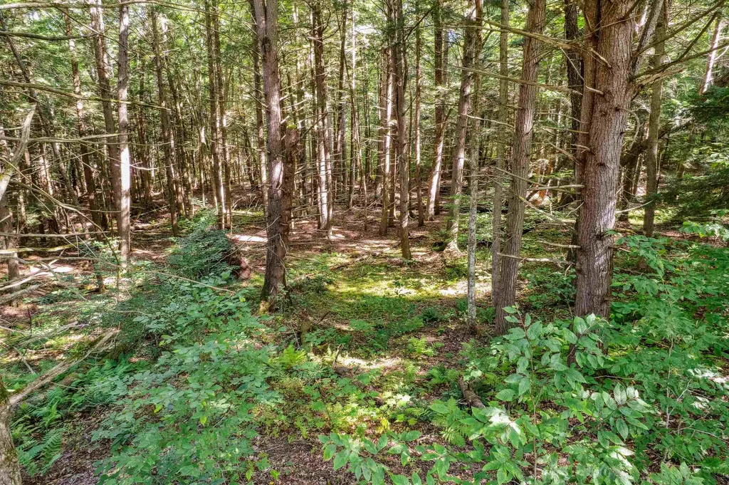 933 Gage Road Tunbridge VT 05077