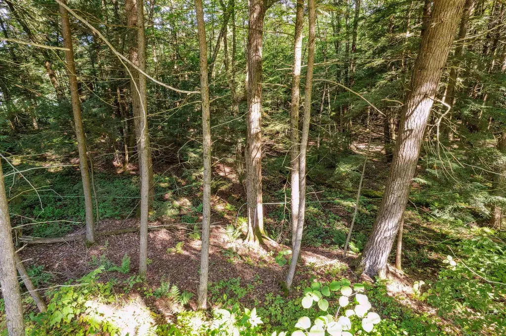 933 Gage Road Tunbridge VT 05077