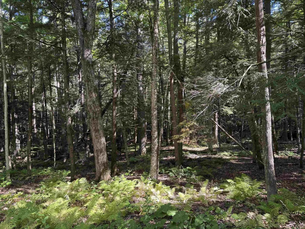 933 Gage Road Tunbridge VT 05077