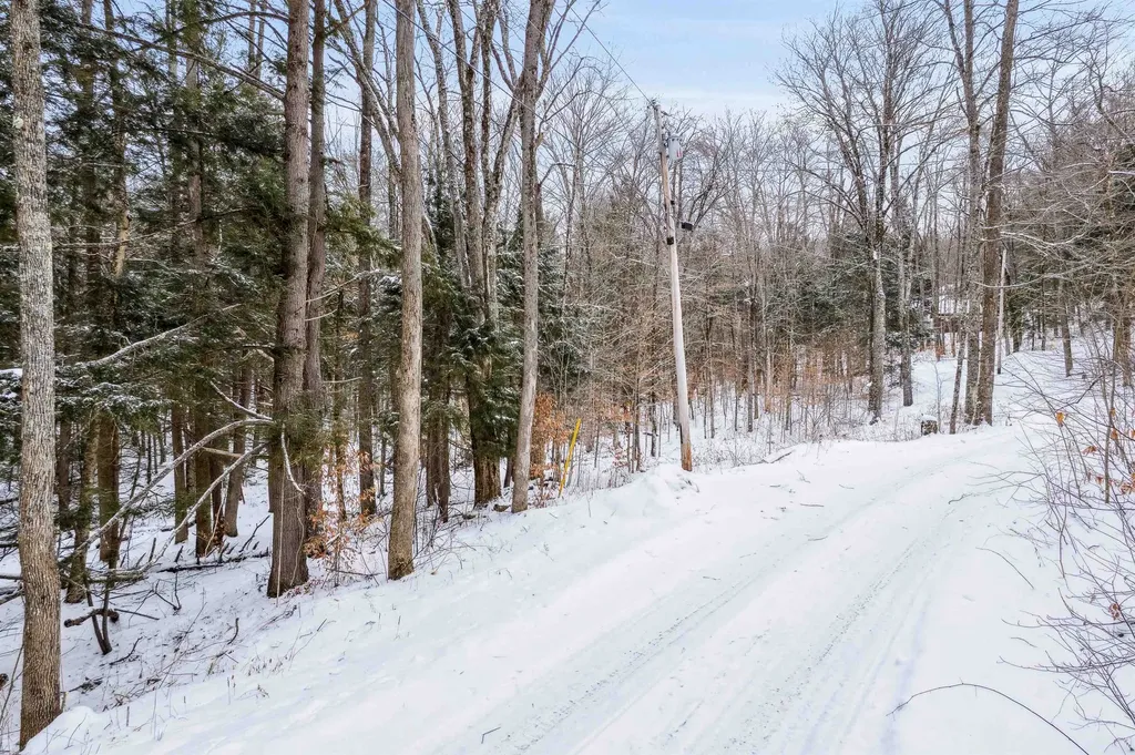 933 Gage Road Tunbridge VT 05077