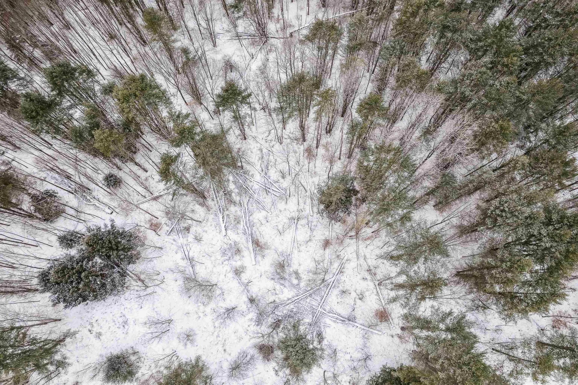 933 Gage Road Tunbridge VT 05077