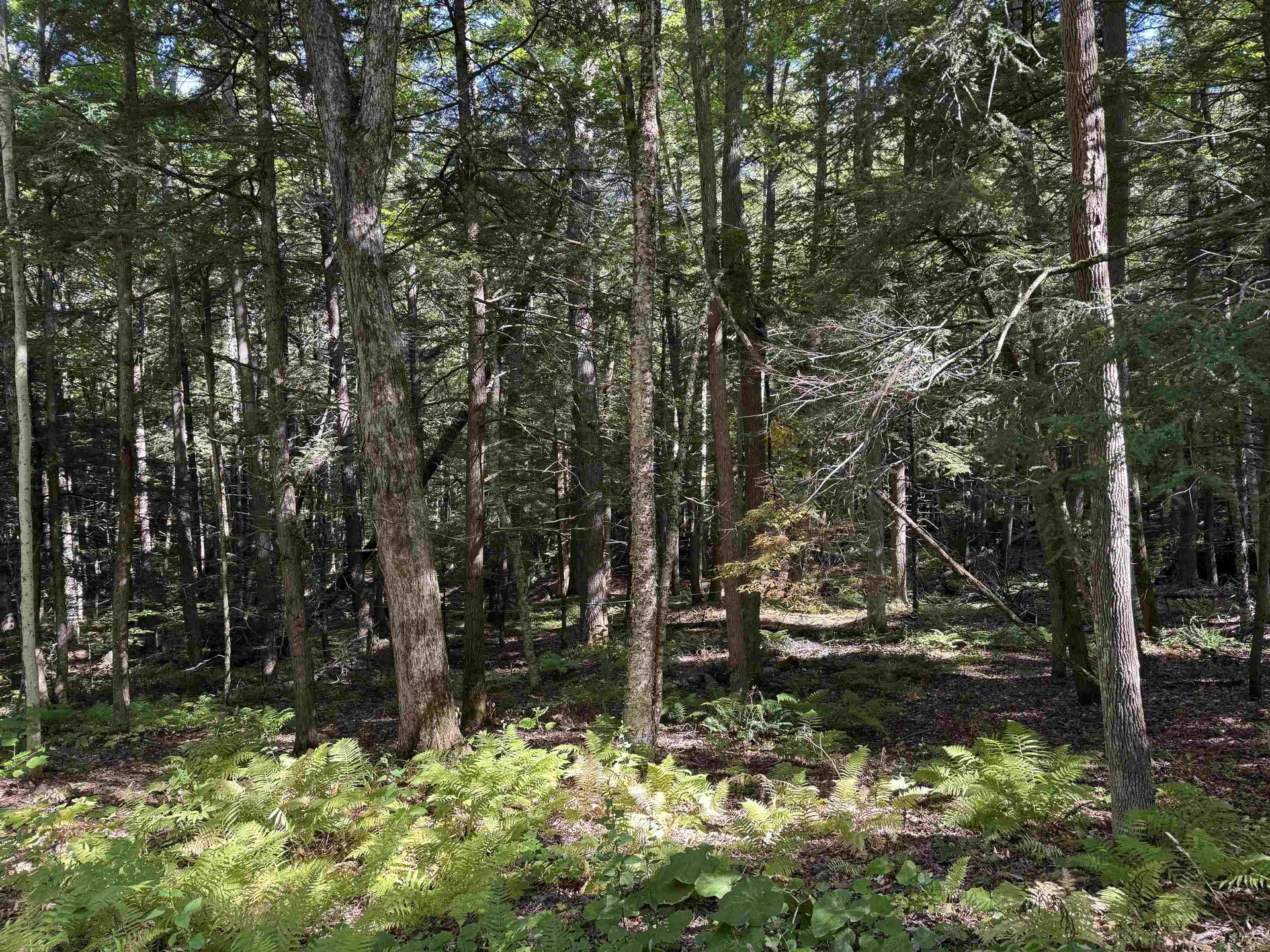 933 Gage Road Tunbridge VT 05077