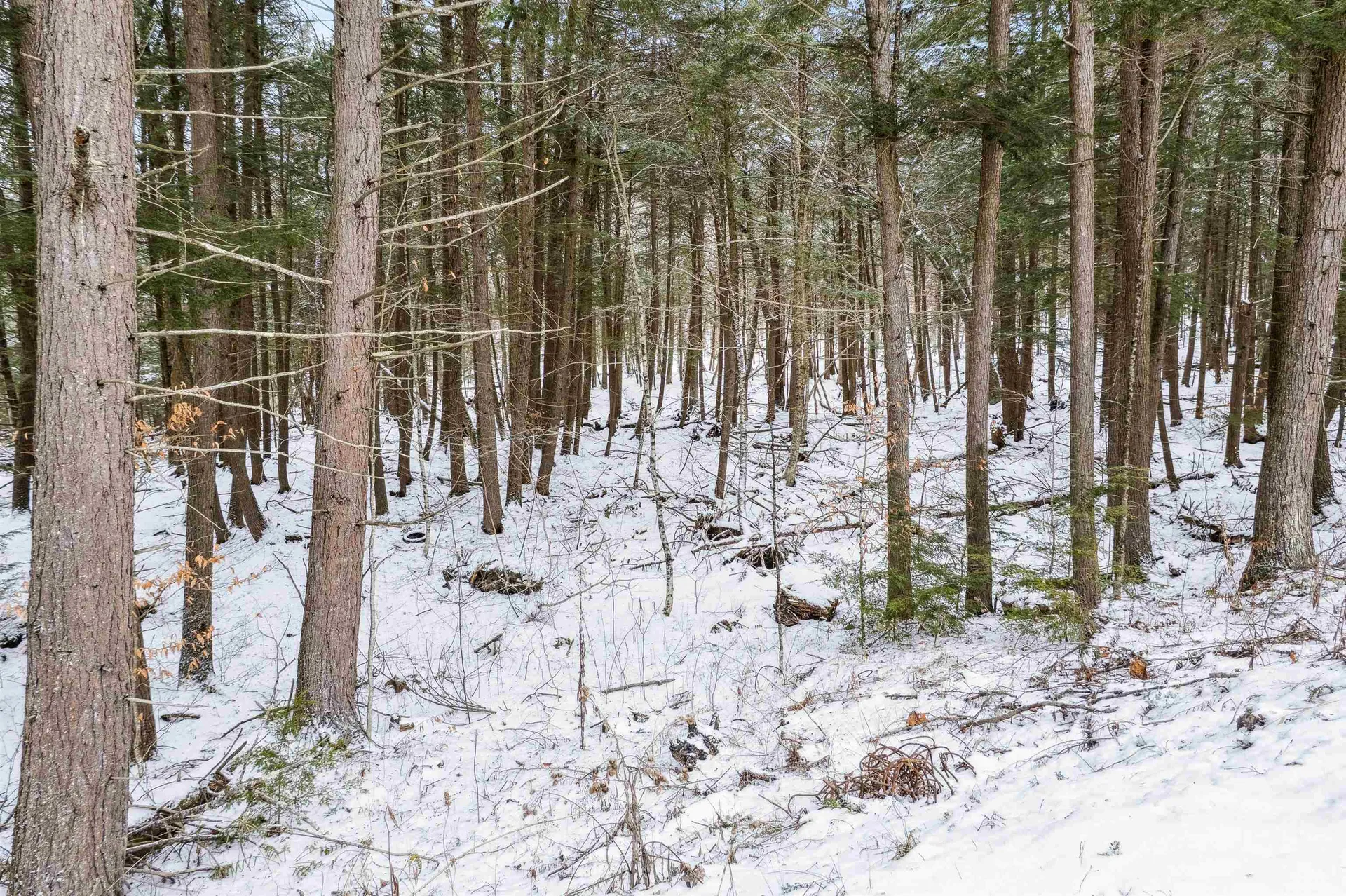 933 Gage Road Tunbridge VT 05077