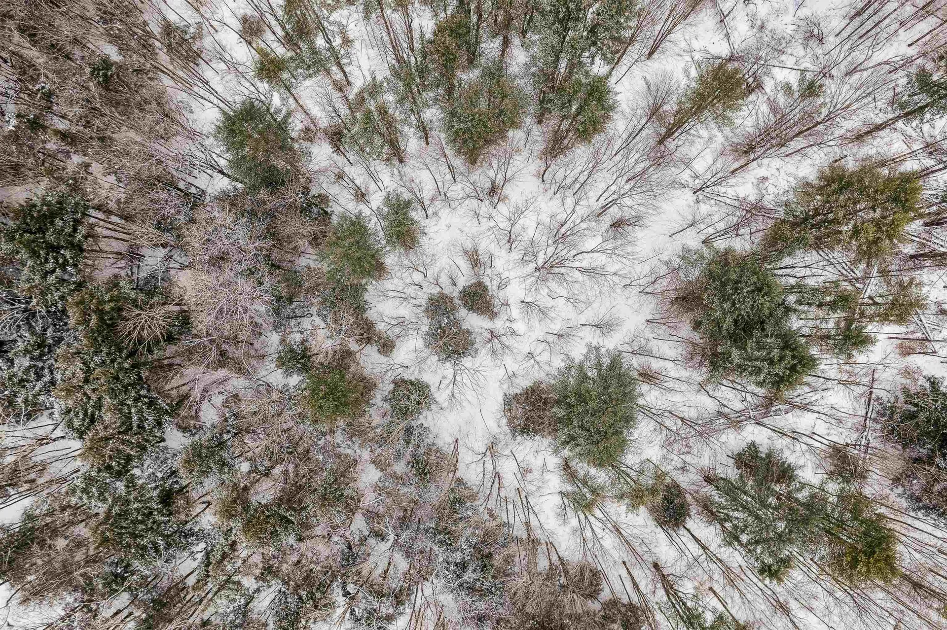 933 Gage Road Tunbridge VT 05077