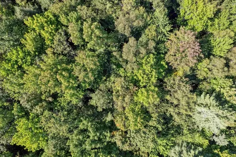 933 Gage Road Tunbridge VT 05077