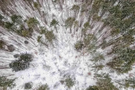 933 Gage Road Tunbridge VT 05077