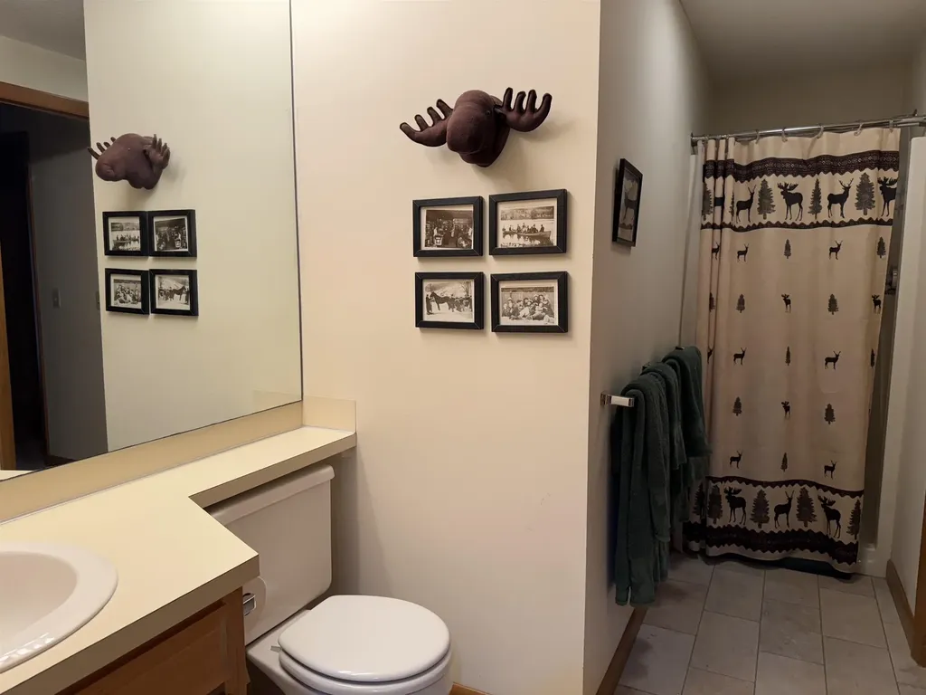 4 Pioneer Point Grantham NH 03753