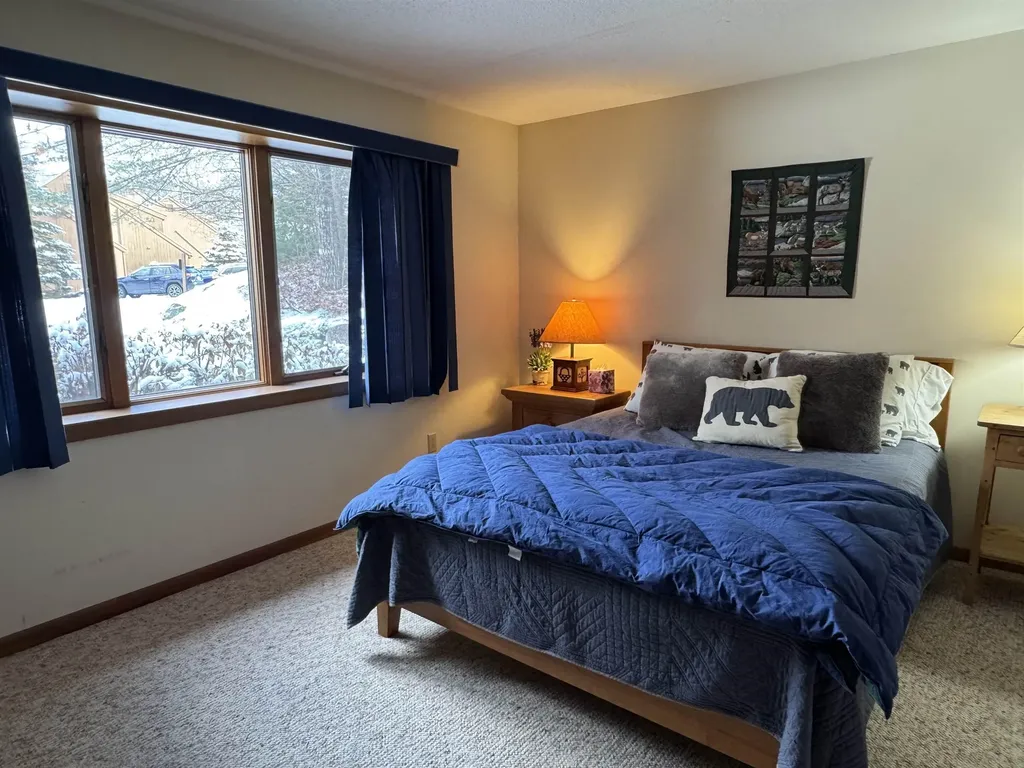 4 Pioneer Point Grantham NH 03753