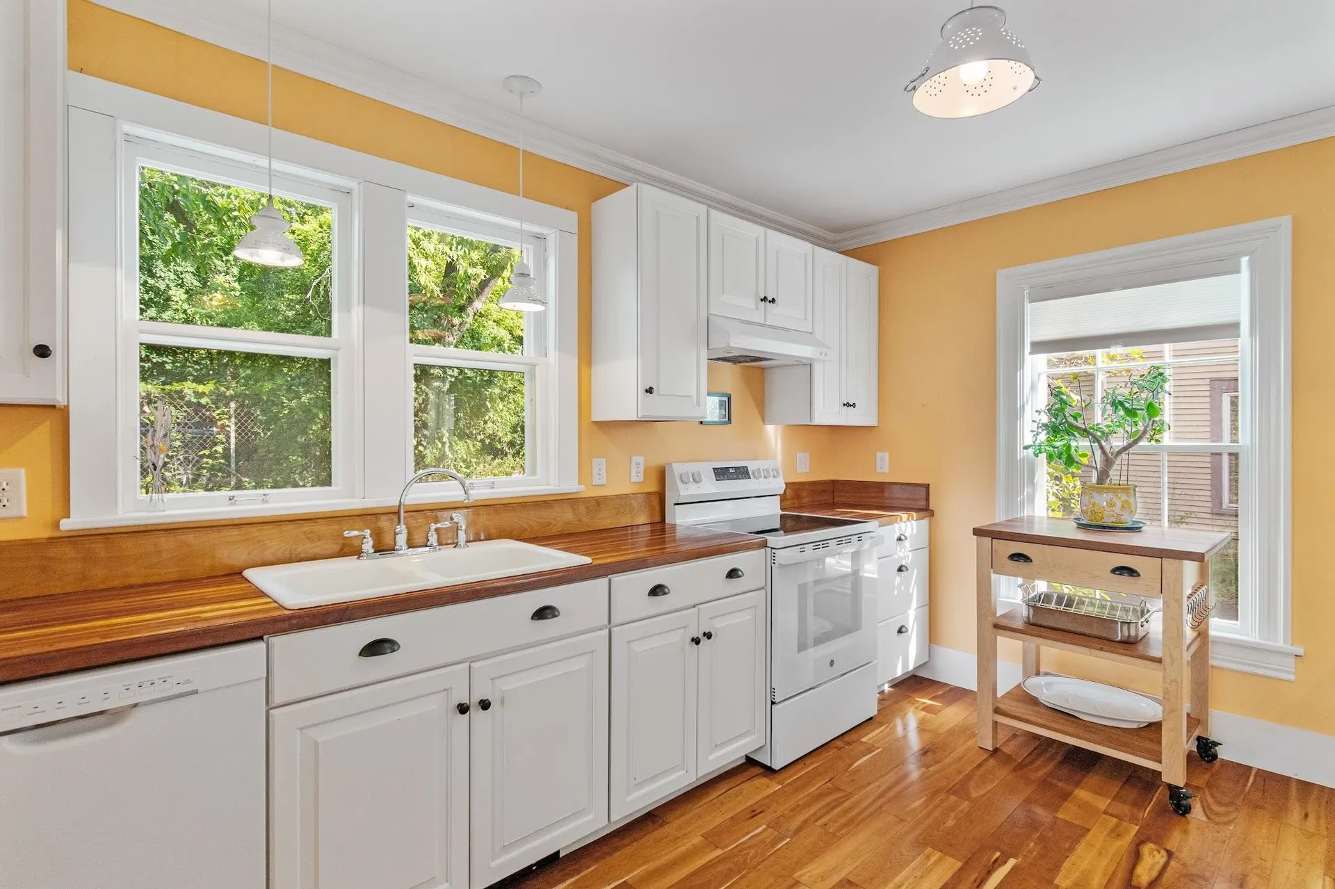 218 Pine Street Burlington VT 05408